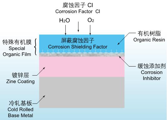 镀锌腐蚀图.jpg