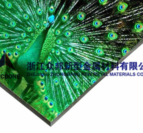 3mm-4mm-Both-Sides-UV-Digital-Printing-Aluminum-Composite-Panel-for-Signage-1.jpg