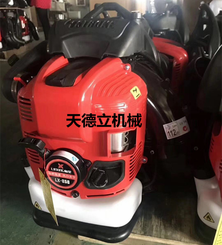 LX850背式吹风机03.jpg