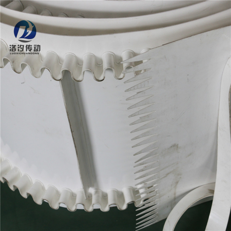 裙边挡板带白色 (2).jpg