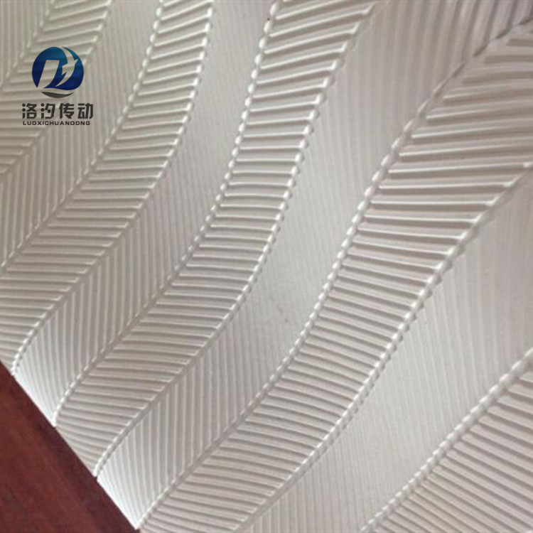 鱼骨纹输送带 (1).jpg