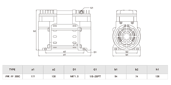 PNK PP 300C.jpg