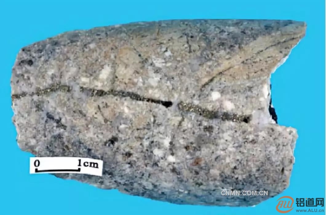 荣那矿床含黄铜矿花岗闪长斑岩研究表明:多龙矿区为一个典型的斑岩型