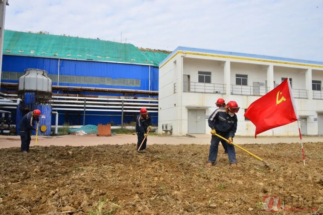 铝业网