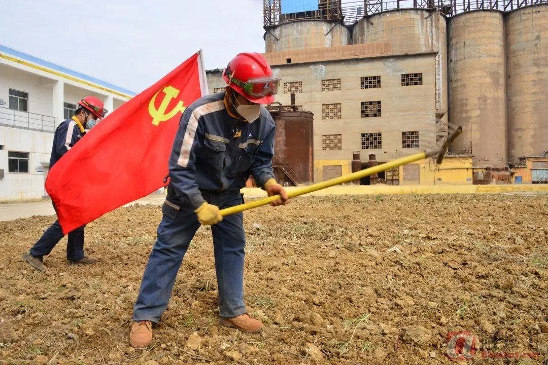 铝业网