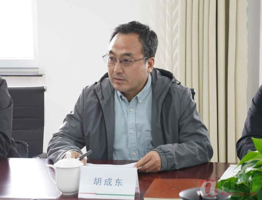 铝业网