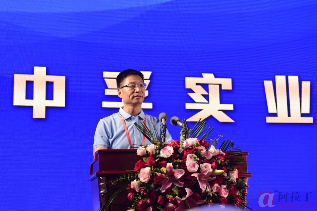 铝业网