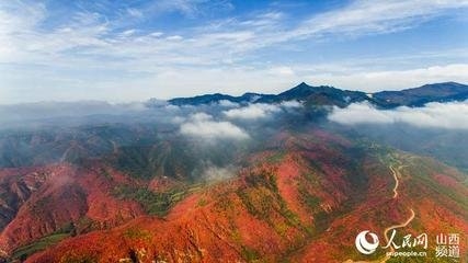 山西运城市中条山有色金属公司