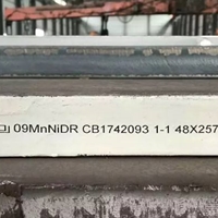 容器板-09MnNiDR